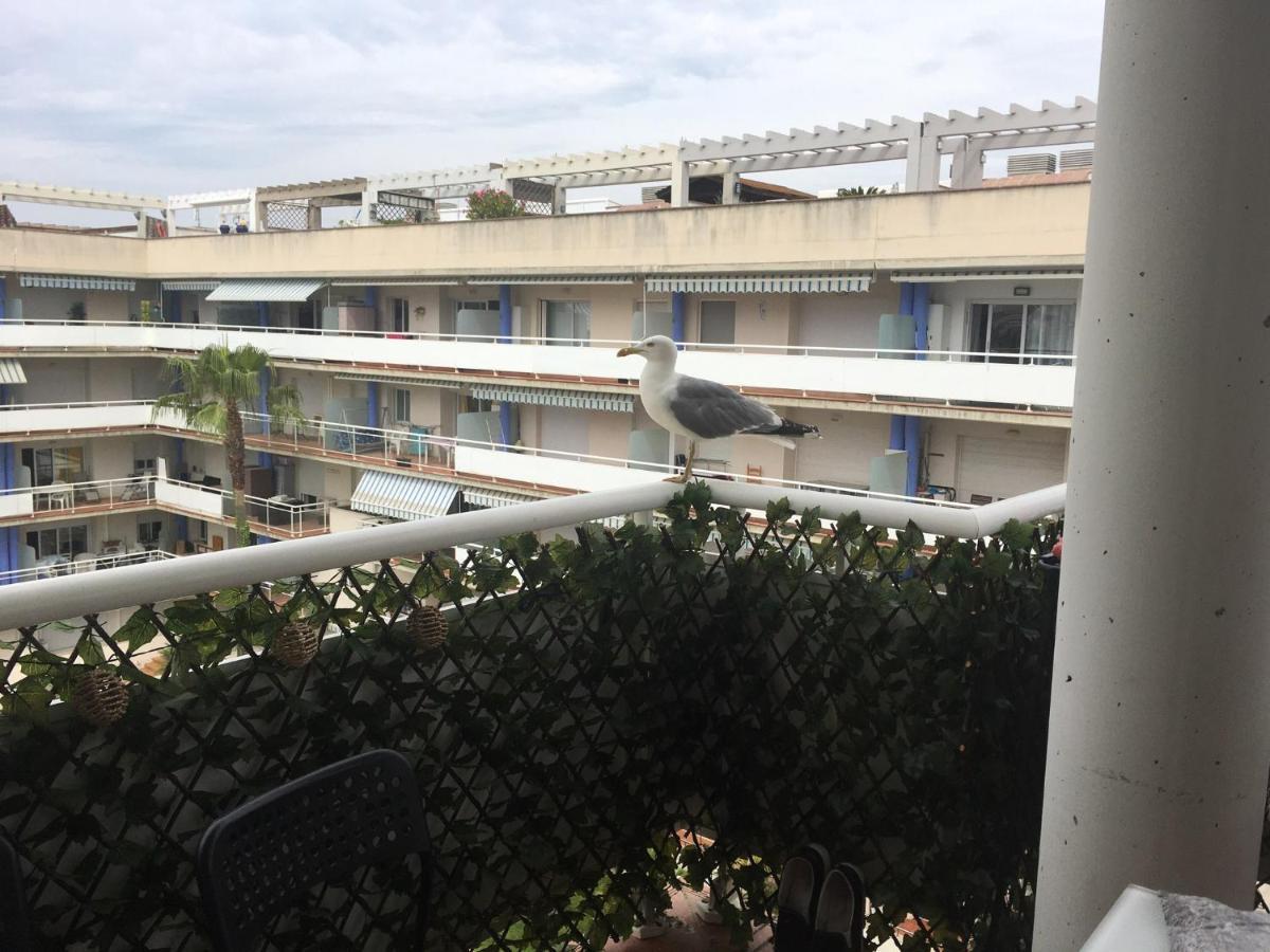 Superbe Appartement Avec Solarium Et Piscine Communautaire โรเซส ภายนอก รูปภาพ